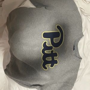 Pitt University Hoodie